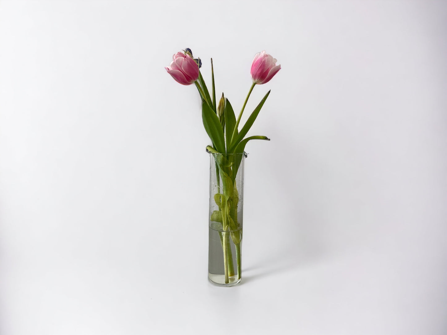 Sleek Glass Vase